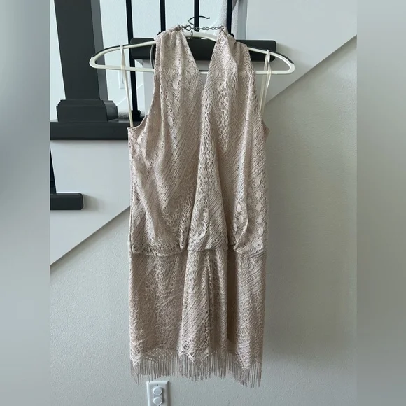 SLNY Shimmery Champagne Dress with Fringe - Picture 6 of 9